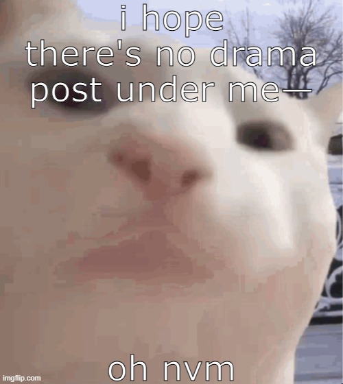I can literally just guess at this point | i hope there's no drama post under me—; oh nvm | image tagged in sans of topic | made w/ Imgflip meme maker