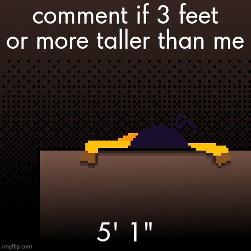 everyone finna comment | comment if 3 feet or more taller than me; 5' 1" | image tagged in life | made w/ Imgflip meme maker