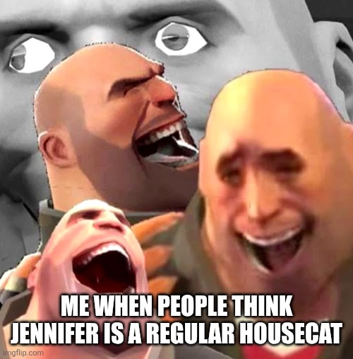 Hahah | ME WHEN PEOPLE THINK JENNIFER IS A REGULAR HOUSECAT | image tagged in heavy laughing | made w/ Imgflip meme maker