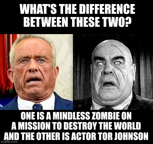 Picture Quizz | WHAT'S THE DIFFERENCE BETWEEN THESE TWO? ONE IS A MINDLESS ZOMBIE ON A MISSION TO DESTROY THE WORLD AND THE OTHER IS ACTOR TOR JOHNSON | image tagged in rfk jr,tor johnson,spot the difference | made w/ Imgflip meme maker