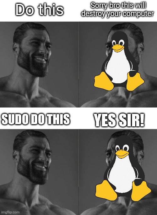 Linux be like | Do this; Sorry bro this will destroy your computer; YES SIR! SUDO DO THIS | image tagged in average fan 2 chad | made w/ Imgflip meme maker