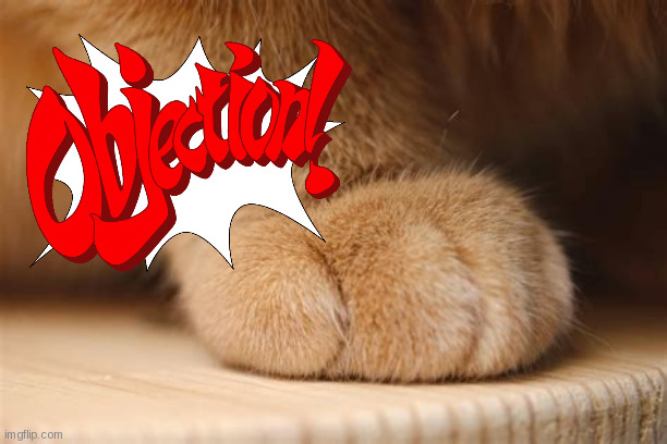 cat attorney | image tagged in cat,ace attorney | made w/ Imgflip meme maker