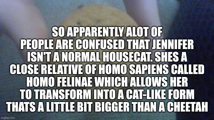 For clarification | SO APPARENTLY ALOT OF PEOPLE ARE CONFUSED THAT JENNIFER ISN'T A NORMAL HOUSECAT. SHES A CLOSE RELATIVE OF HOMO SAPIENS CALLED HOMO FELINAE WHICH ALLOWS HER TO TRANSFORM INTO A CAT-LIKE FORM THATS A LITTLE BIT BIGGER THAN A CHEETAH | image tagged in sad cookie | made w/ Imgflip meme maker