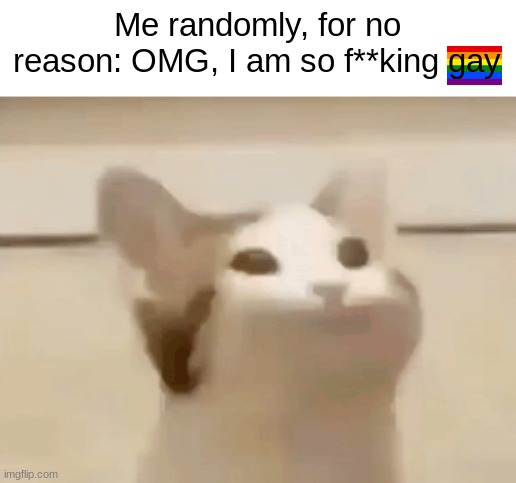 does anybody else randomly feel gayer than usual(if you are gay) or is just me? | Me randomly, for no reason: OMG, I am so f**king gay | image tagged in womp womp cat | made w/ Imgflip meme maker