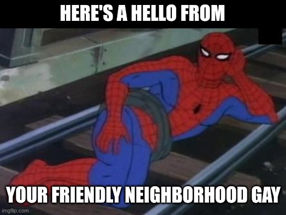 Hello, my fellow gays | HERE'S A HELLO FROM; YOUR FRIENDLY NEIGHBORHOOD GAY | image tagged in memes,sexy railroad spiderman,spiderman | made w/ Imgflip meme maker