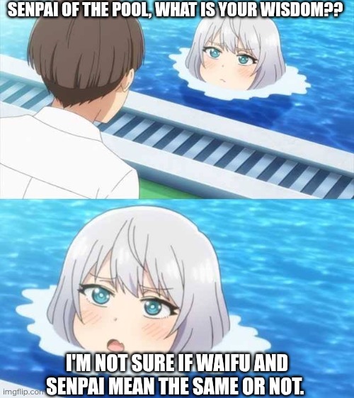 Senpai Of The Pool | SENPAI OF THE POOL, WHAT IS YOUR WISDOM?? I'M NOT SURE IF WAIFU AND SENPAI MEAN THE SAME OR NOT. | image tagged in senpai of the pool | made w/ Imgflip meme maker