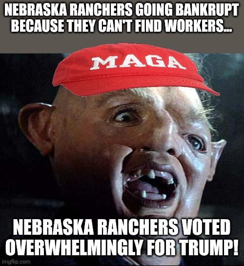 Voting against your own interests | NEBRASKA RANCHERS GOING BANKRUPT BECAUSE THEY CAN'T FIND WORKERS... NEBRASKA RANCHERS VOTED OVERWHELMINGLY FOR TRUMP! | image tagged in donald trump,trump,maga,trump supporter,trump sucks,conservative | made w/ Imgflip meme maker