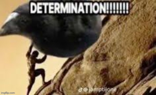 DETERMINATION!!!!!!! | image tagged in determination,msmg | made w/ Imgflip meme maker