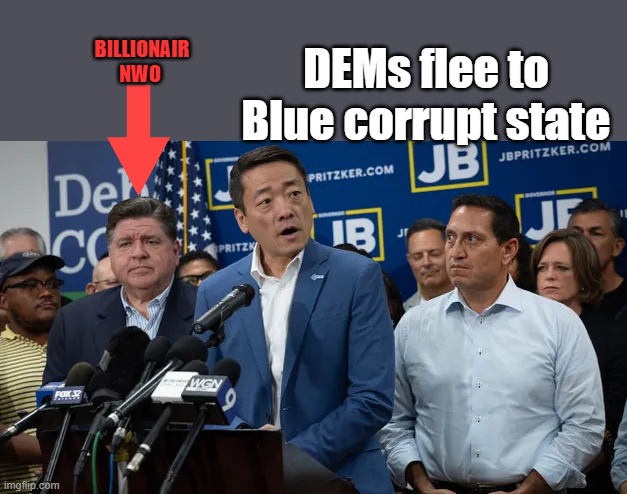 Sell outs sold to the highest bidder | BILLIONAIR NWO; DEMs flee to Blue corrupt state | made w/ Imgflip meme maker