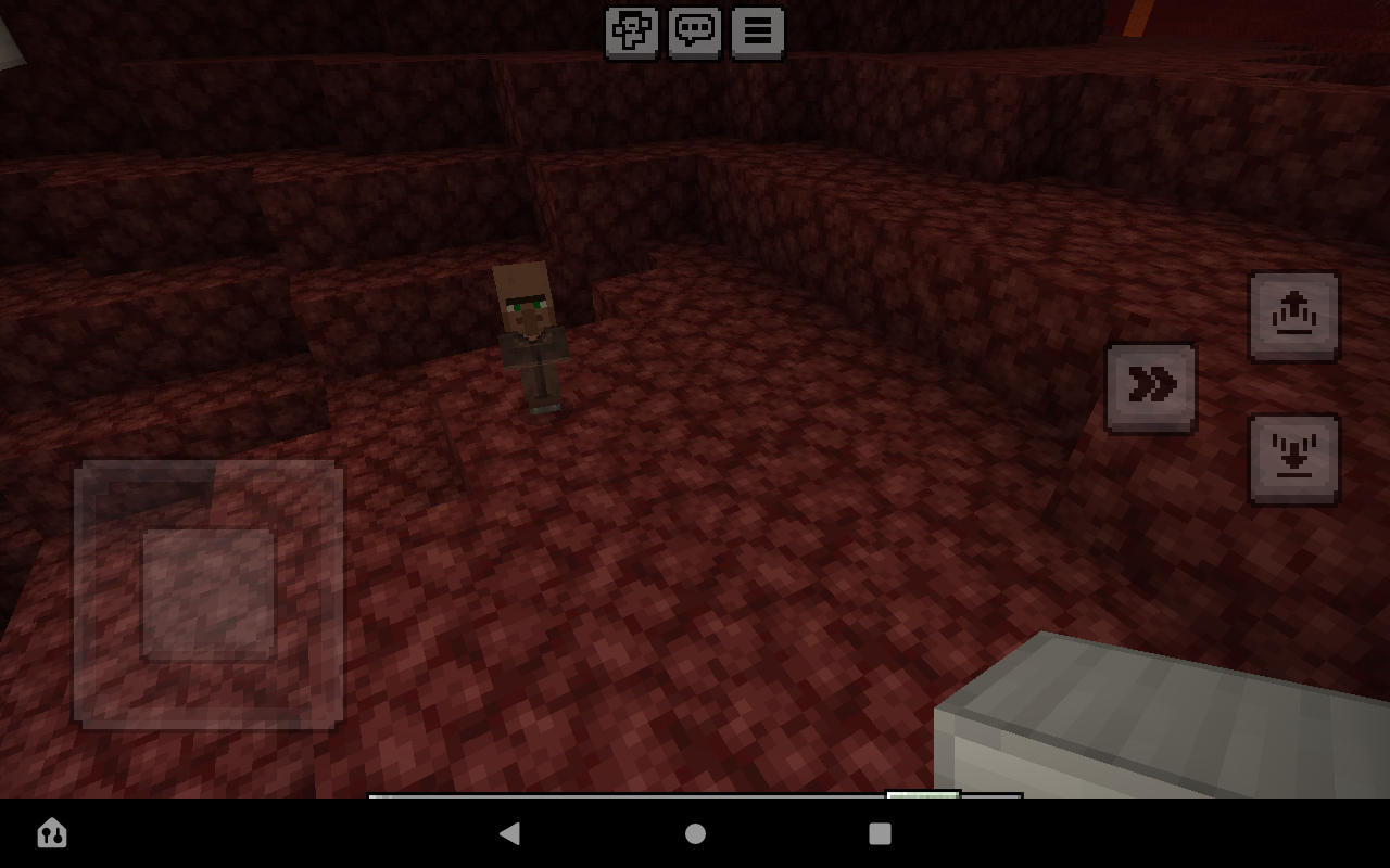 Villager out in nether Blank Meme Template