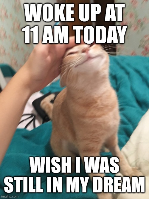 It was a cool asf dream, okay | WOKE UP AT 11 AM TODAY; WISH I WAS STILL IN MY DREAM | image tagged in cat pat | made w/ Imgflip meme maker