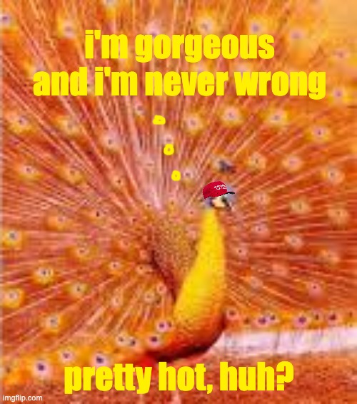 i'm gorgeous
and i'm never wrong pretty hot, huh? | made w/ Imgflip meme maker