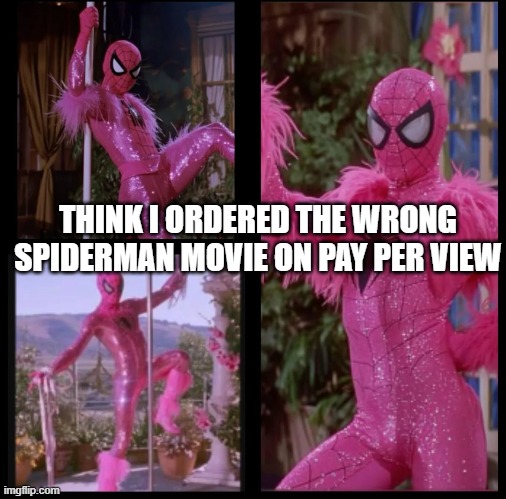 Spiderman: Brand New Gay | THINK I ORDERED THE WRONG SPIDERMAN MOVIE ON PAY PER VIEW | image tagged in spiderman | made w/ Imgflip meme maker