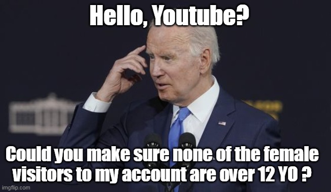 Could you make sure none of the female visitors to my account are over 12 YO ? Hello, Youtube? | made w/ Imgflip meme maker