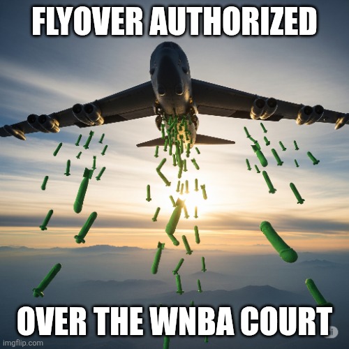 WNBA Flyover | FLYOVER AUTHORIZED; OVER THE WNBA COURT | image tagged in basketball | made w/ Imgflip meme maker