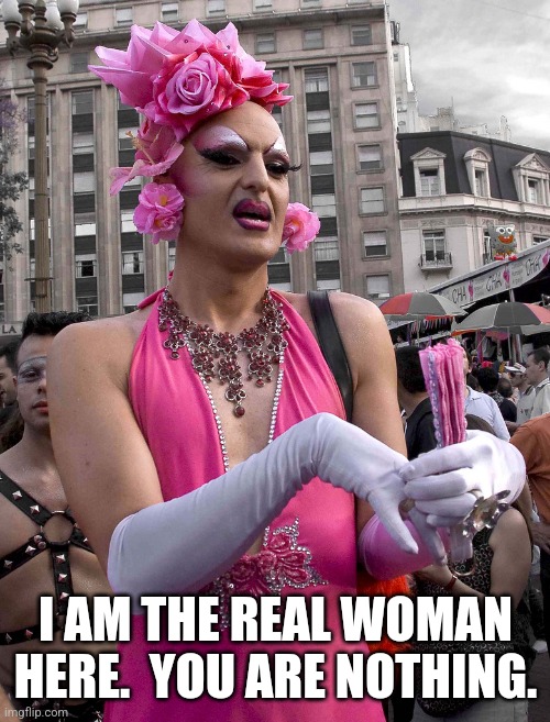 tranny | I AM THE REAL WOMAN HERE.  YOU ARE NOTHING. | image tagged in tranny | made w/ Imgflip meme maker