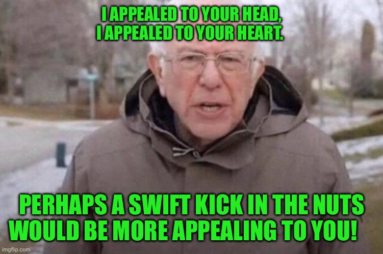 I am once again asking | I APPEALED TO YOUR HEAD, I APPEALED TO YOUR HEART. PERHAPS A SWIFT KICK IN THE NUTS WOULD BE MORE APPEALING TO YOU! | image tagged in i am once again asking | made w/ Imgflip meme maker