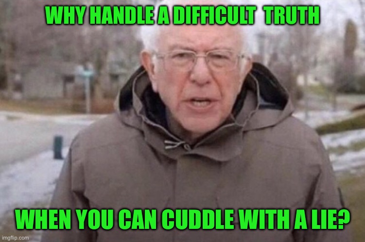 I am once again asking | WHY HANDLE A DIFFICULT  TRUTH; WHEN YOU CAN CUDDLE WITH A LIE? | image tagged in i am once again asking | made w/ Imgflip meme maker