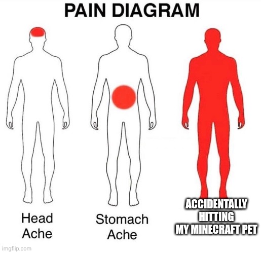 Pain Diagram | ACCIDENTALLY HITTING MY MINECRAFT PET | image tagged in pain diagram | made w/ Imgflip meme maker