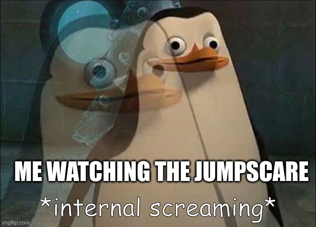 Private Internal Screaming | ME WATCHING THE JUMPSCARE | image tagged in private internal screaming | made w/ Imgflip meme maker