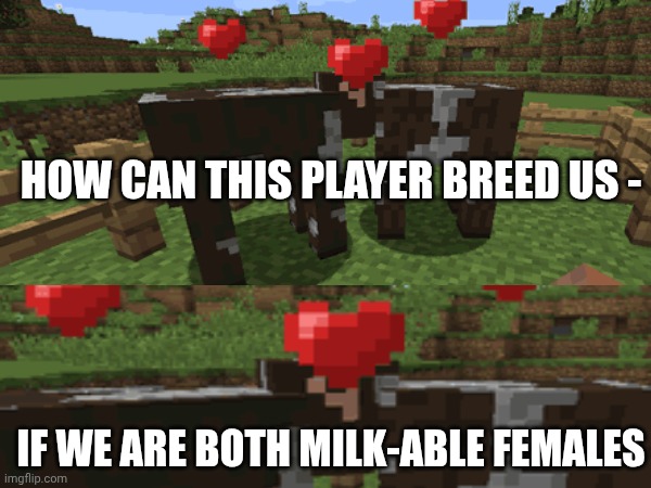 Cow breeding | HOW CAN THIS PLAYER BREED US -; IF WE ARE BOTH MILK-ABLE FEMALES | image tagged in gaming,cows | made w/ Imgflip meme maker