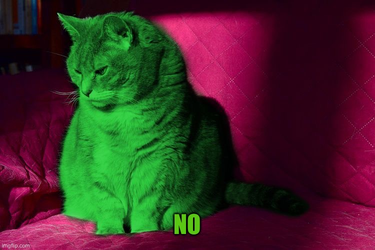 Cantankerous RayCat | NO | image tagged in cantankerous raycat | made w/ Imgflip meme maker