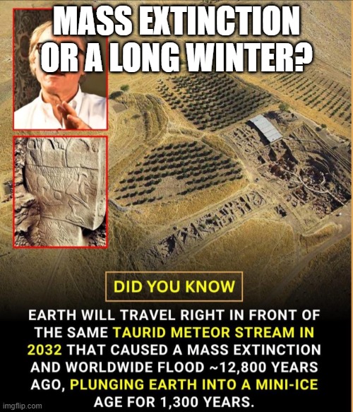 Mass Extinction or No Social Security | MASS EXTINCTION OR A LONG WINTER? | image tagged in mass extinction or no social security | made w/ Imgflip meme maker