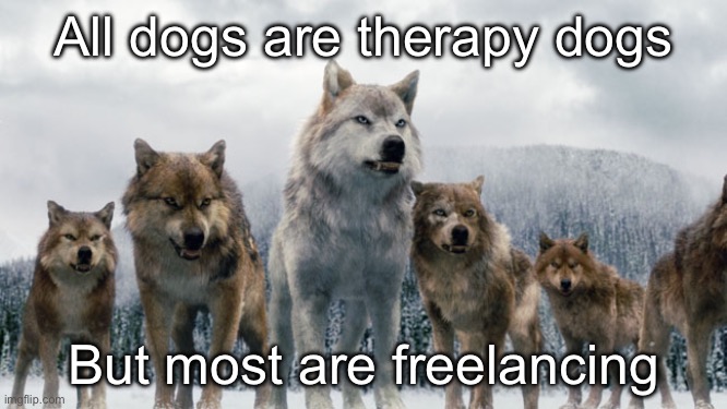 Therapy Dogs | All dogs are therapy dogs But most are freelancing | image tagged in therapy dogs,therapy | made w/ Imgflip meme maker