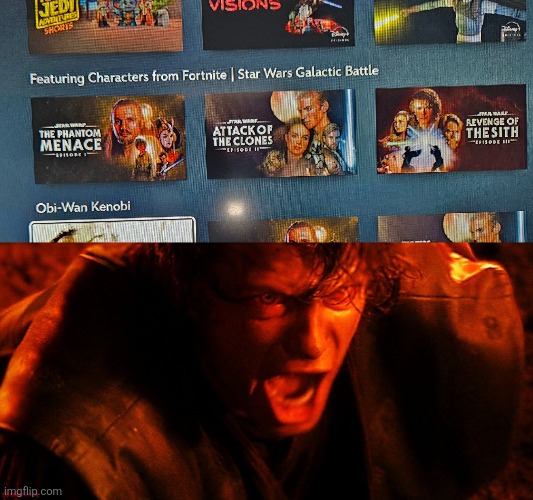 WHY? WHYYYYYY?!!!!?! | image tagged in anakin i hate you,fortnite | made w/ Imgflip meme maker