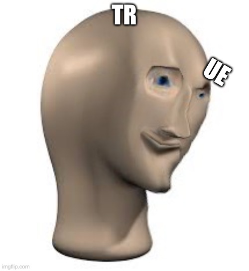 Messed up stonk face | TR UE | image tagged in messed up stonk face | made w/ Imgflip meme maker