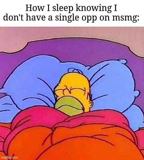 i'm friends with everyone and don't get into conflicts | How I sleep knowing I don't have a single opp on msmg: | image tagged in homer simpson sleeping peacefully | made w/ Imgflip meme maker