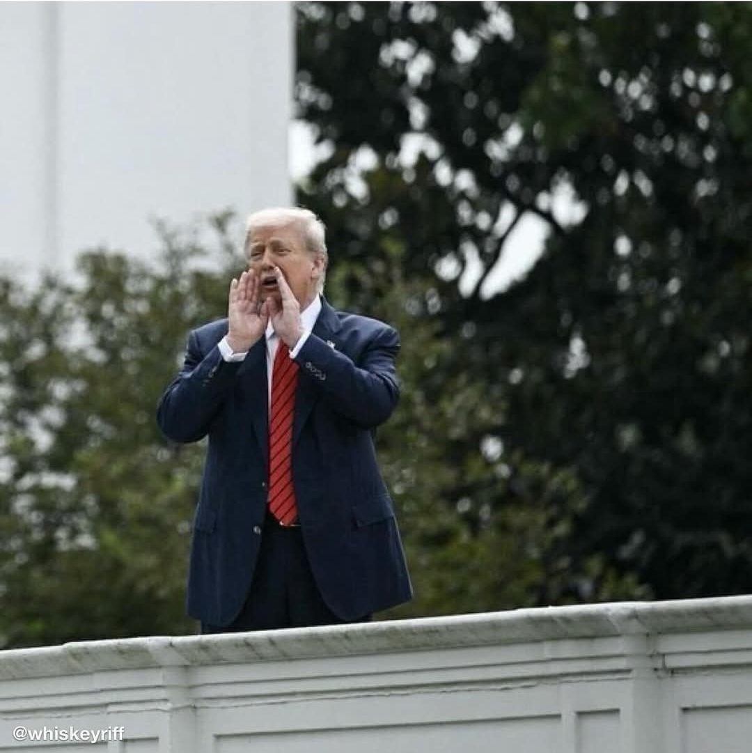 Trump yell Blank Meme Template