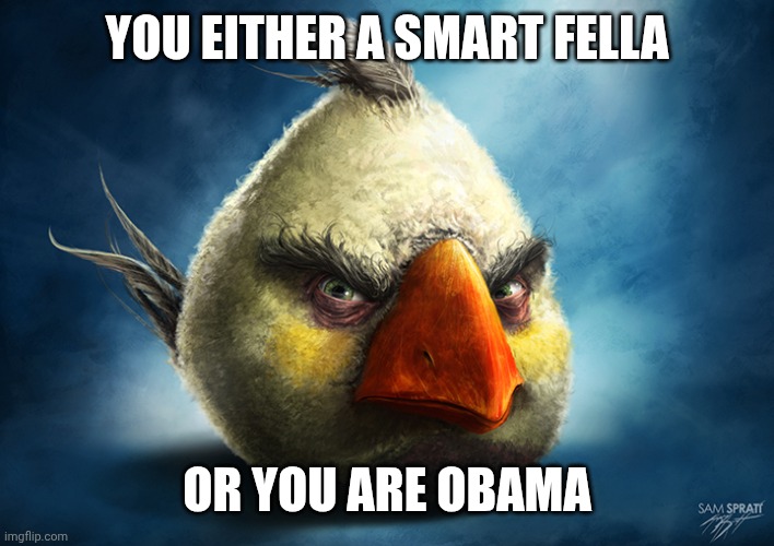Realistic Angry Bird (Mathilda) | YOU EITHER A SMART FELLA; OR YOU ARE OBAMA | image tagged in realistic angry bird mathilda | made w/ Imgflip meme maker