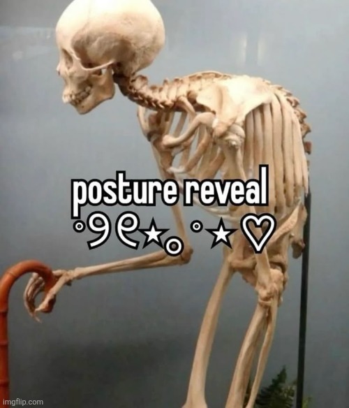 >_< do you g-g-guys like my posture :3 | made w/ Imgflip meme maker