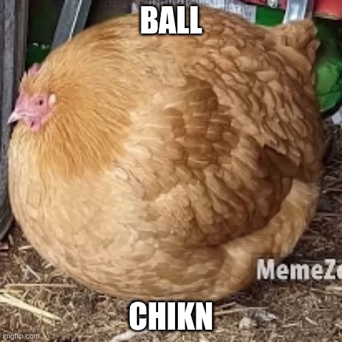 ballchickn | BALL; CHIKN | image tagged in balls,chicken,based | made w/ Imgflip meme maker