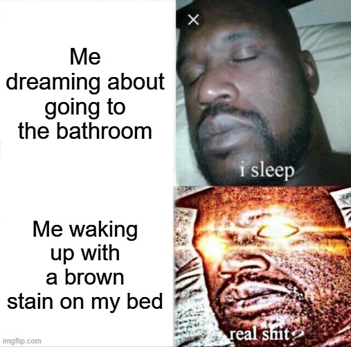 REAL sh1t? | Me dreaming about going to the bathroom; Me waking up with a brown stain on my bed | image tagged in memes,sleeping shaq | made w/ Imgflip meme maker