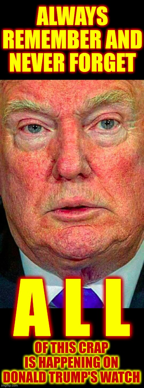 Nazis In Congress Just Gave Trump The Fake Air Force 1 Our Taxes Paid For - As A Gift.  IT'S TRUMP SO OF COURSE IT'S ILLEGAL | ALWAYS REMEMBER AND NEVER FORGET; A L L; OF THIS CRAP IS HAPPENING ON DONALD TRUMP'S WATCH | image tagged in ugly trump,maga,nazis,lock them all up,disgusting,basket of deplorables | made w/ Imgflip meme maker