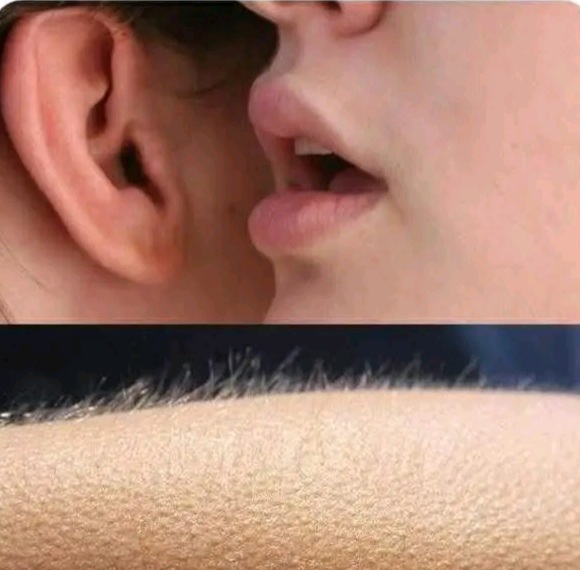 Chrisjoines1 Blank Meme Template