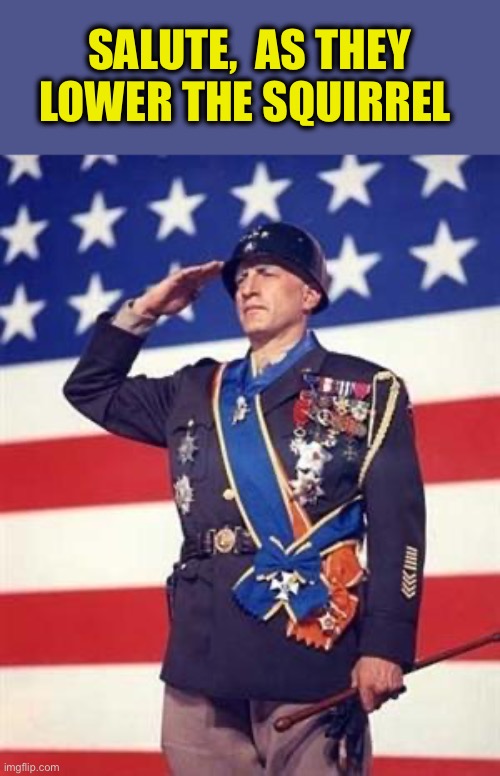 Patton Salutes You | SALUTE,  AS THEY LOWER THE SQUIRREL | image tagged in patton salutes you | made w/ Imgflip meme maker