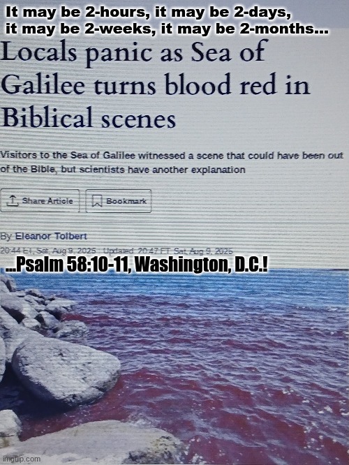 True Justice, shall be SERVED. | It may be 2-hours, it may be 2-days,

it may be 2-weeks, it may be 2-months... ...Psalm 58:10-11, Washington, D.C.! | made w/ Imgflip meme maker
