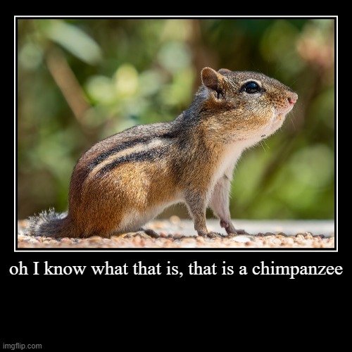 oh I know what that is, that is a chimpanzee | | image tagged in funny,demotivationals,chimpanzee | made w/ Imgflip demotivational maker