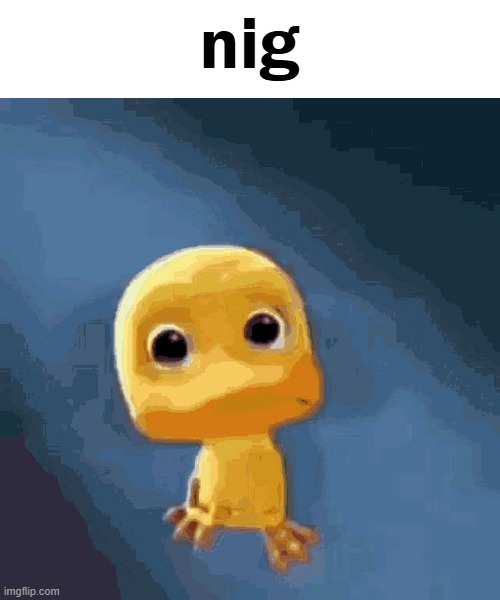 nig | nig | image tagged in duck,idk,shitposting | made w/ Imgflip meme maker