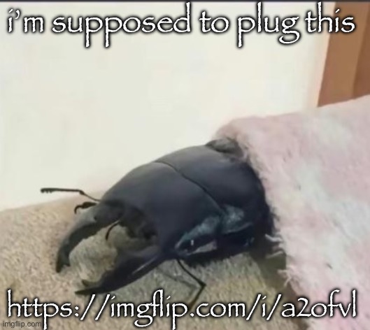 beetle | i’m supposed to plug this; https://imgflip.com/i/a2ofvl | image tagged in beetle | made w/ Imgflip meme maker