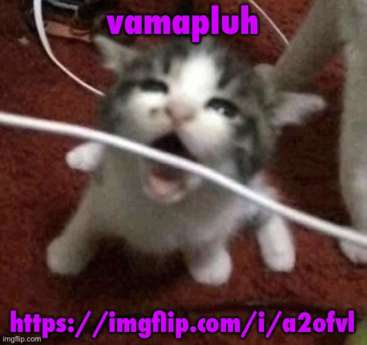 I LOVE EATING CABLES | vamapluh; https://imgflip.com/i/a2ofvl | image tagged in bomb | made w/ Imgflip meme maker