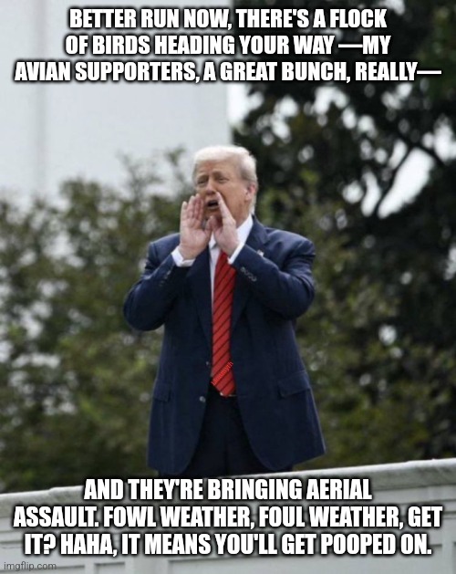 Better run now | BETTER RUN NOW, THERE'S A FLOCK OF BIRDS HEADING YOUR WAY —MY AVIAN SUPPORTERS, A GREAT BUNCH, REALLY—; Lionmyth; AND THEY'RE BRINGING AERIAL ASSAULT. FOWL WEATHER, FOUL WEATHER, GET IT? HAHA, IT MEANS YOU'LL GET POOPED ON. | image tagged in trump roof,run,birds,aerial,fowl,warn | made w/ Imgflip meme maker