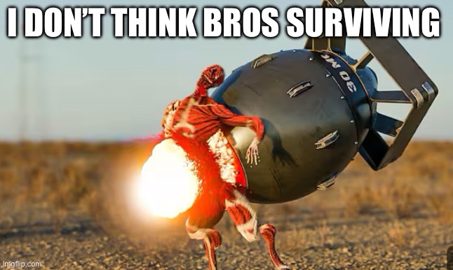 Nukes are cool | I DON’T THINK BROS SURVIVING 😭 | image tagged in fun | made w/ Imgflip meme maker