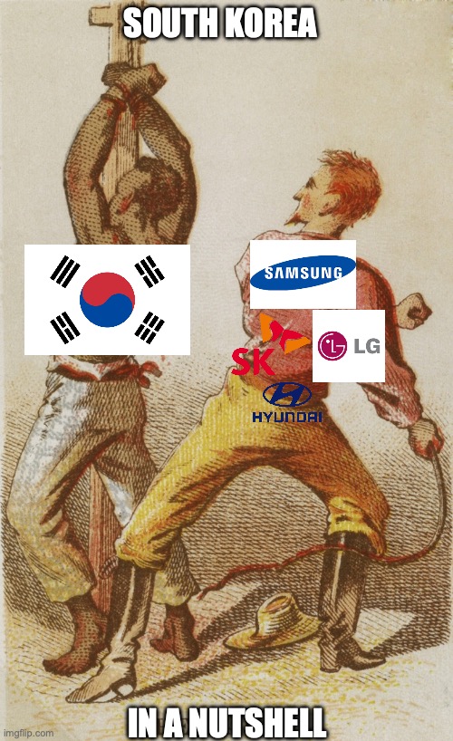 South Korea be like | SOUTH KOREA; IN A NUTSHELL | image tagged in south korea,economy,slavery,relatable | made w/ Imgflip meme maker