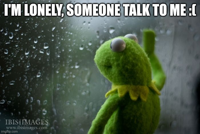 Please :< | I'M LONELY, SOMEONE TALK TO ME :( | image tagged in kermit window | made w/ Imgflip meme maker