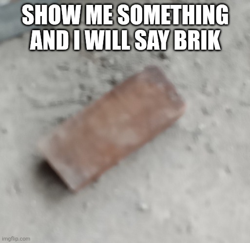 Brik | SHOW ME SOMETHING AND I WILL SAY BRIK | image tagged in brik | made w/ Imgflip meme maker