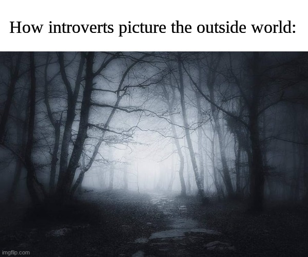 It's a scary place | How introverts picture the outside world: | image tagged in memes,funny,relatable,introvert | made w/ Imgflip meme maker